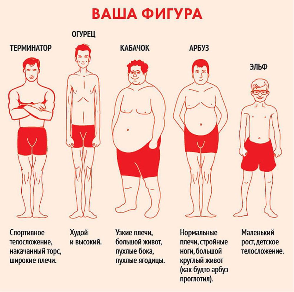 А вы знаете какой тип тела у вашего мужчины?